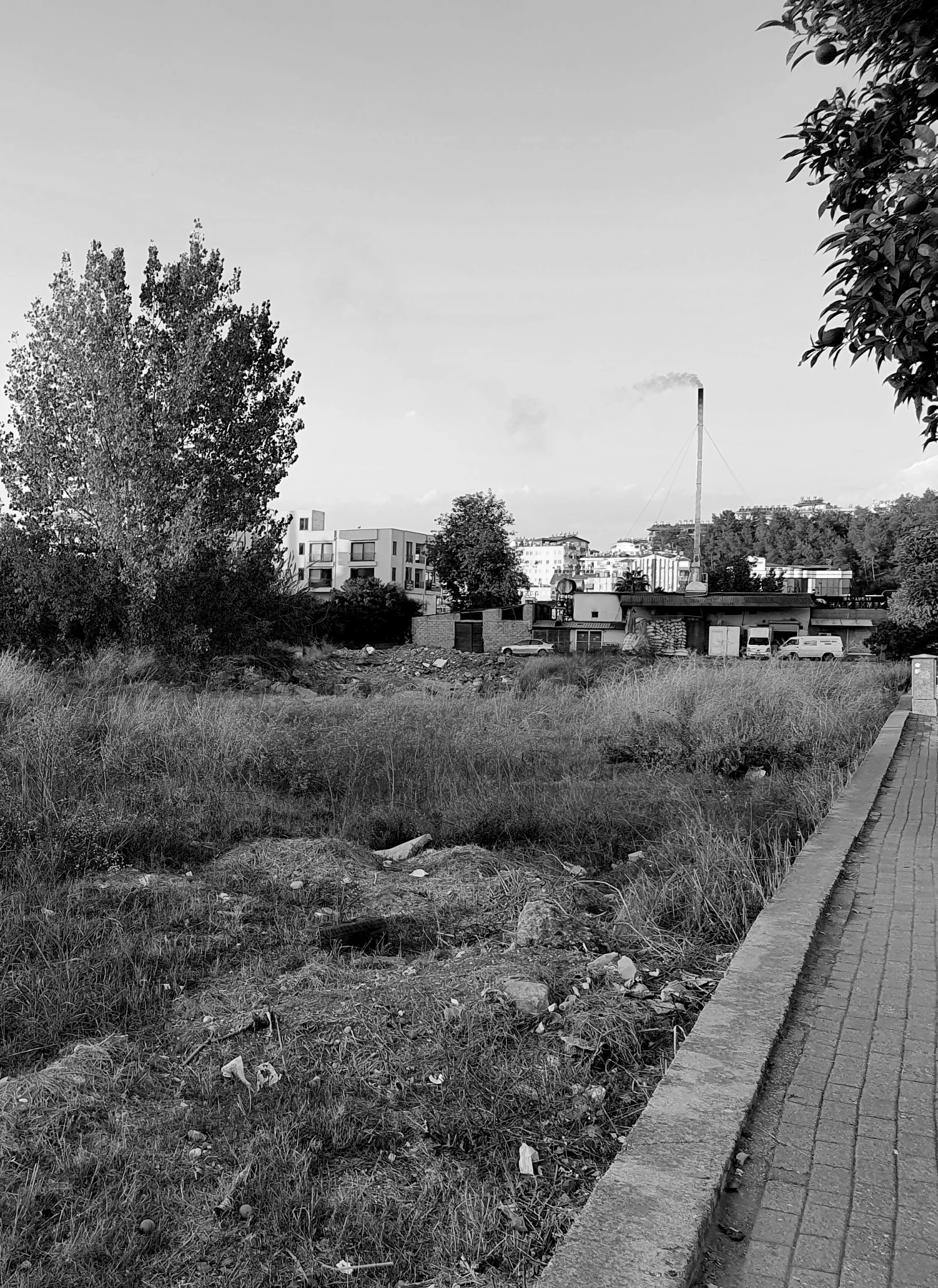 a very dark area with trees in the foreground