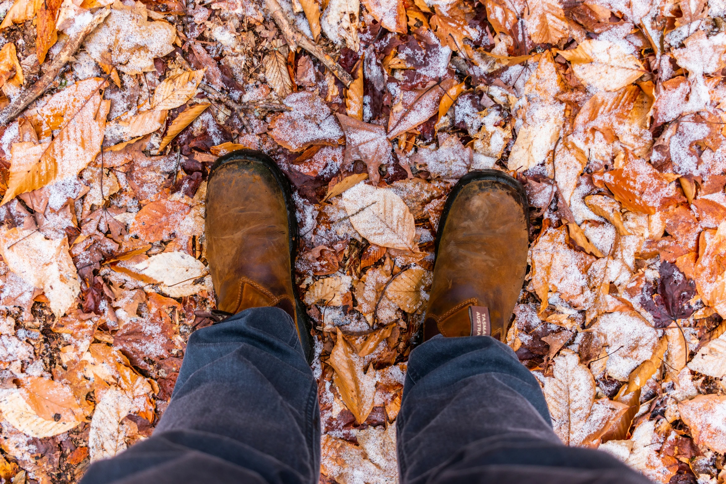 a persons feet with brown shoes is on some leaves