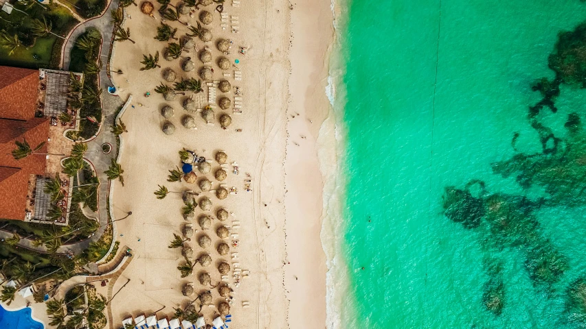 a beach scene from above with blue and green waters