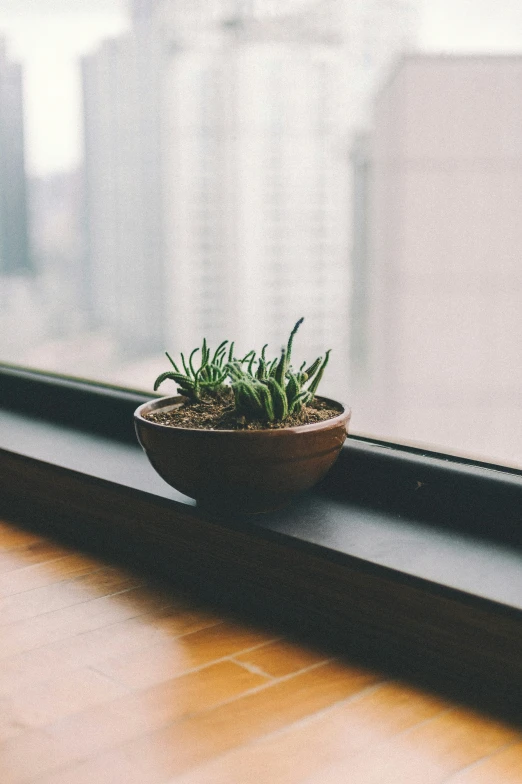 a small brown planter on a window sill