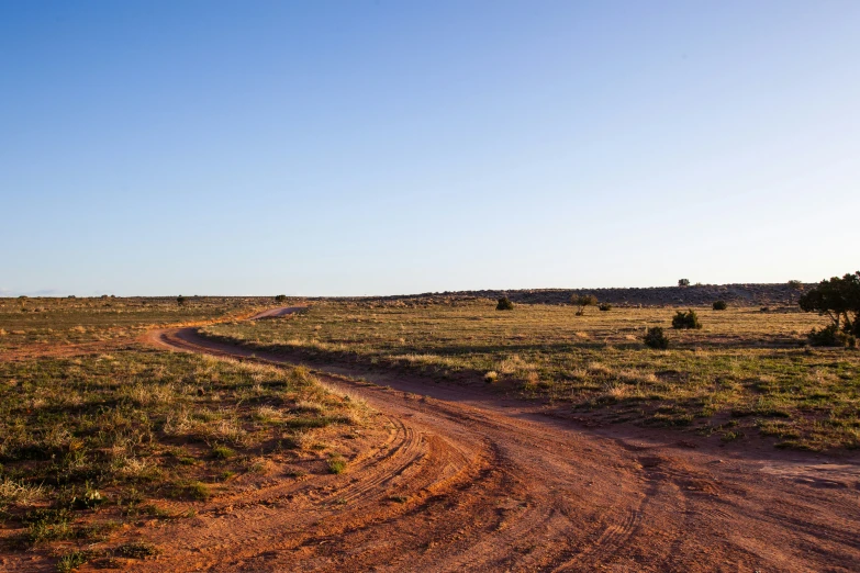 an empty dirt road with green trees and grass on both sides