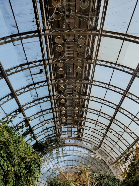 inside of an outdoor covered platform with lots of plants