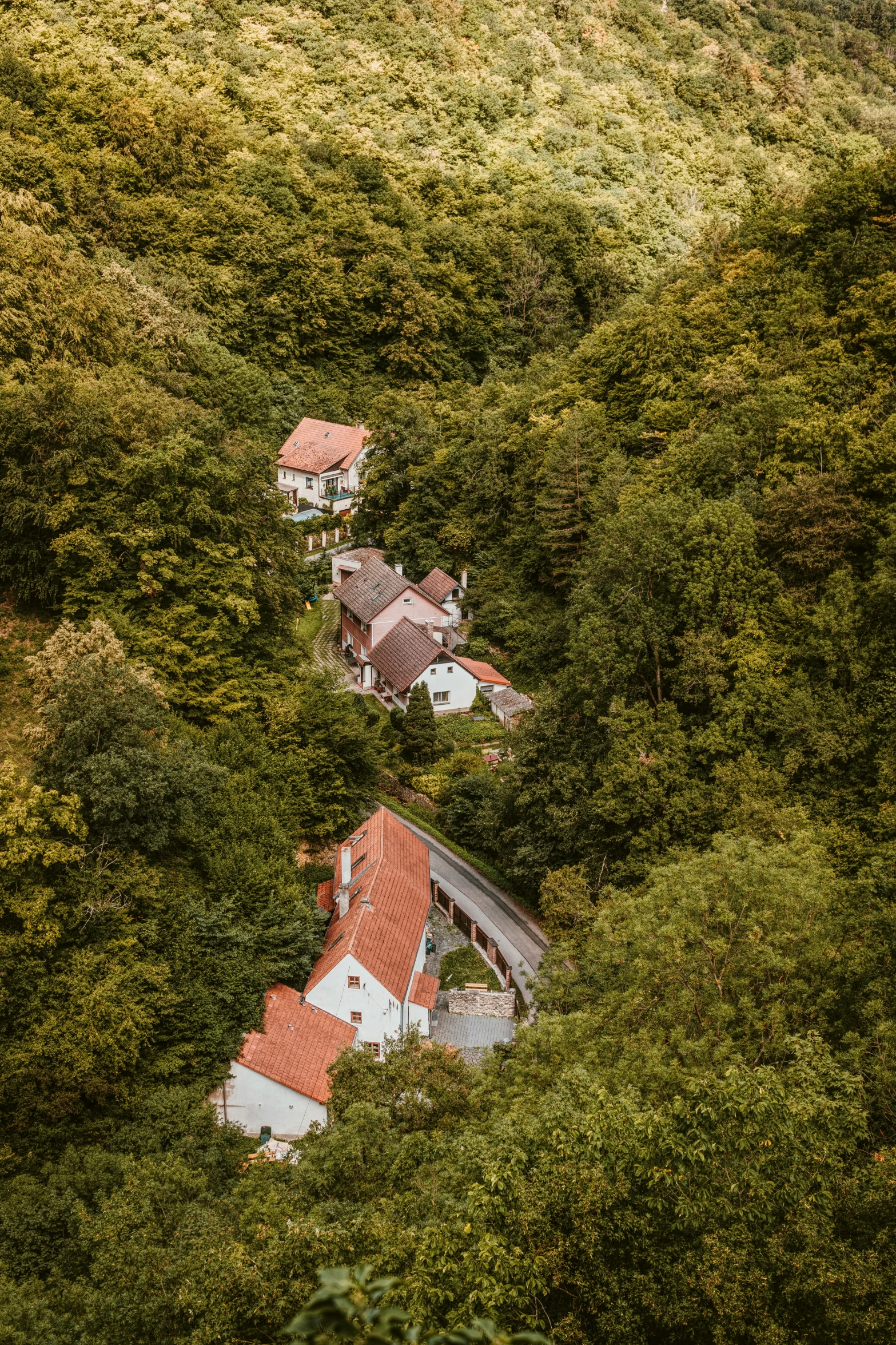 a bunch of houses that are in the woods