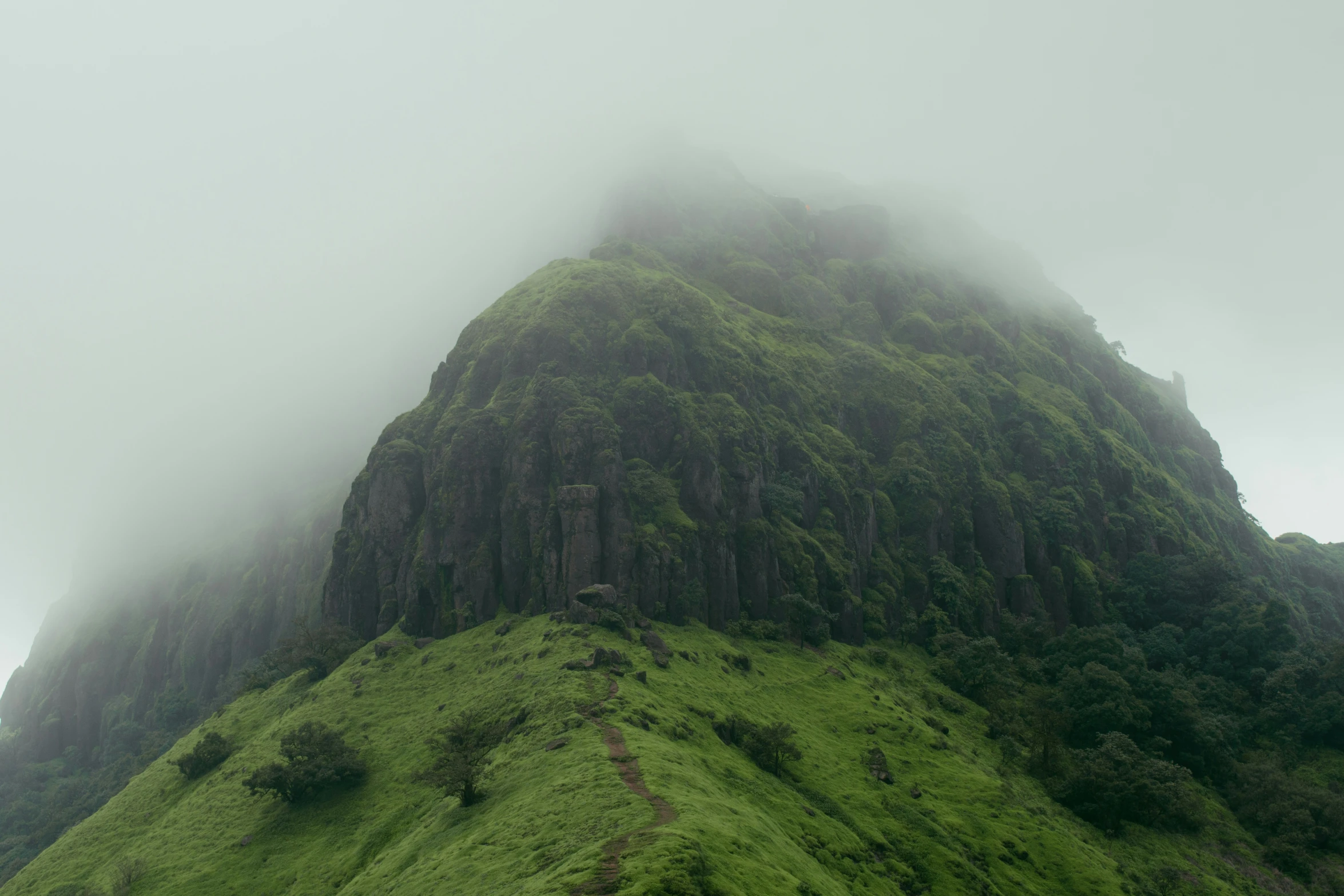 some people are on a green grass covered mountain