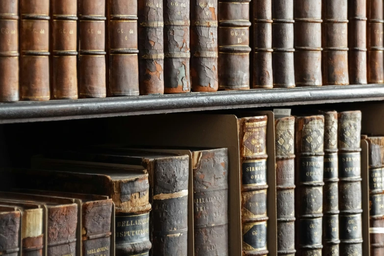 rows of books on a book shelf in a liry