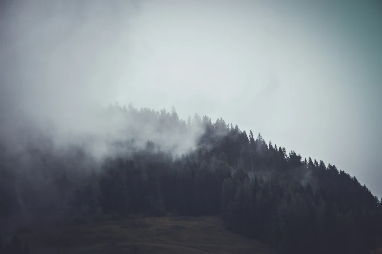 a mountain with a bird flying above it