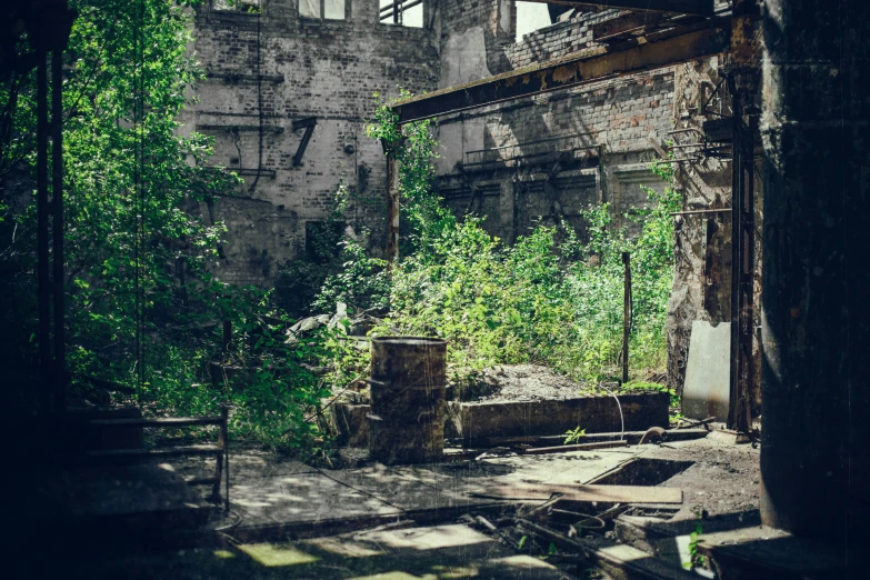 the abandoned building has vines growing out of it