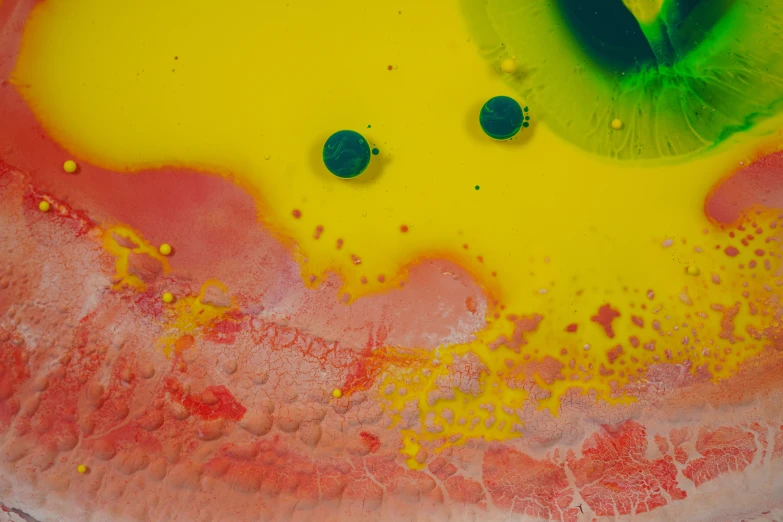 a plate topped with yellow liquid, black dots, and green leaf