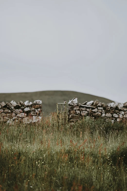 a rocky structure stands in a grassy area