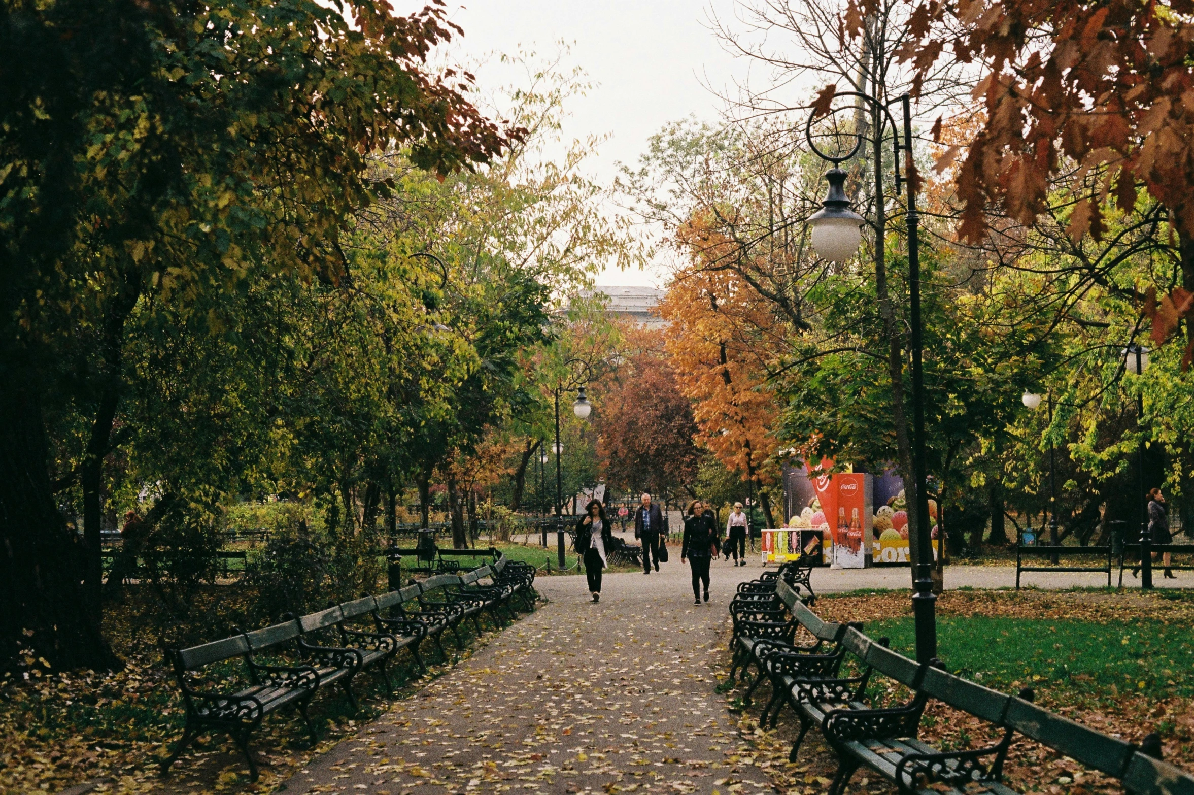 a sidewalk in the middle of an autumn forest