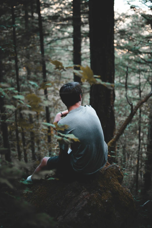 a man sitting on a rock with a tree in the background