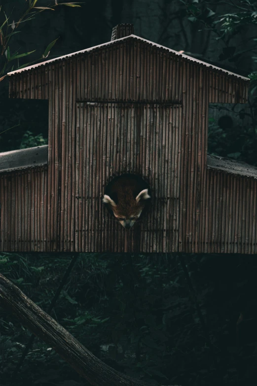 an old barn sits on a hill in the middle of the forest