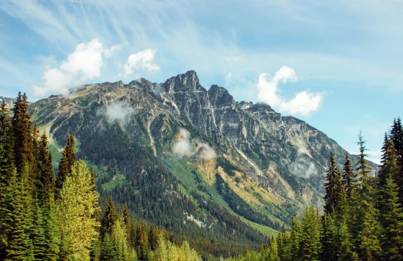 the mountain has a number of tall trees