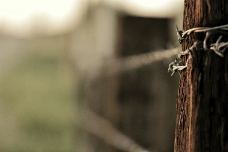 a metal wire in the center of a wooden fence