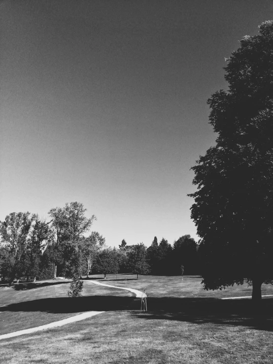 trees in the middle of a field and a person sitting on a bench