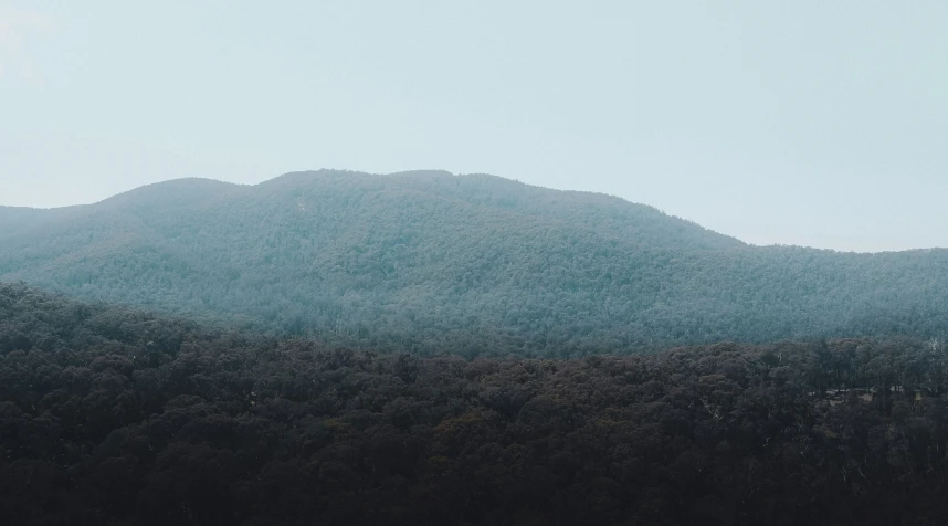 some very tall mountain side with trees in the distance