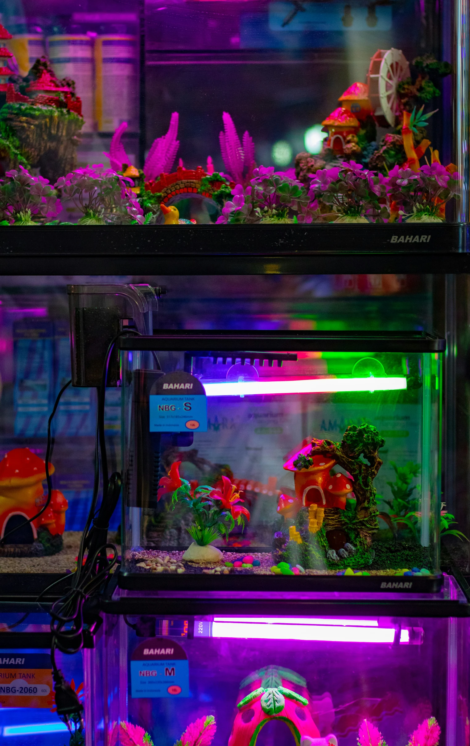 colorful aquariums are lit and displayed in a store