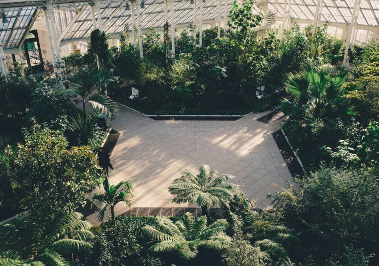 an aerial view of an enclosed area with some palm trees