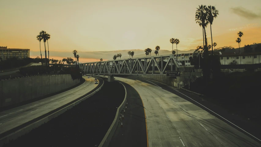 this is a pograph of a freeway with palm trees