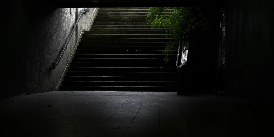 an empty stairway in the dark with some plants growing in it