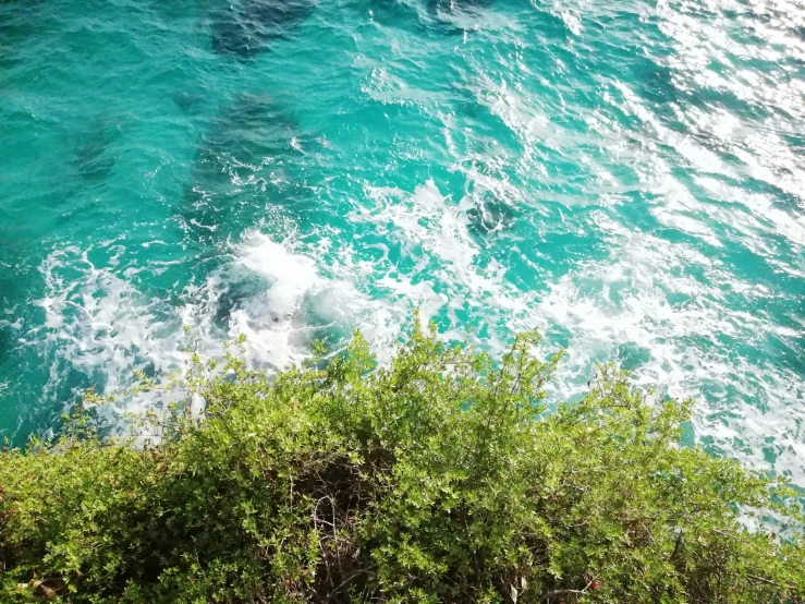 a white boat floating in a body of water