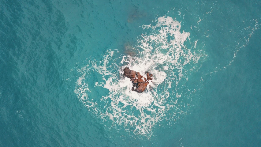 people swimming in the water from above