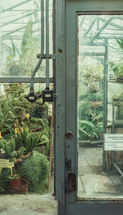 a window filled with lots of different kinds of plants