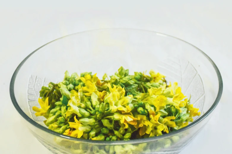 yellow flowers in glass bowl with white background