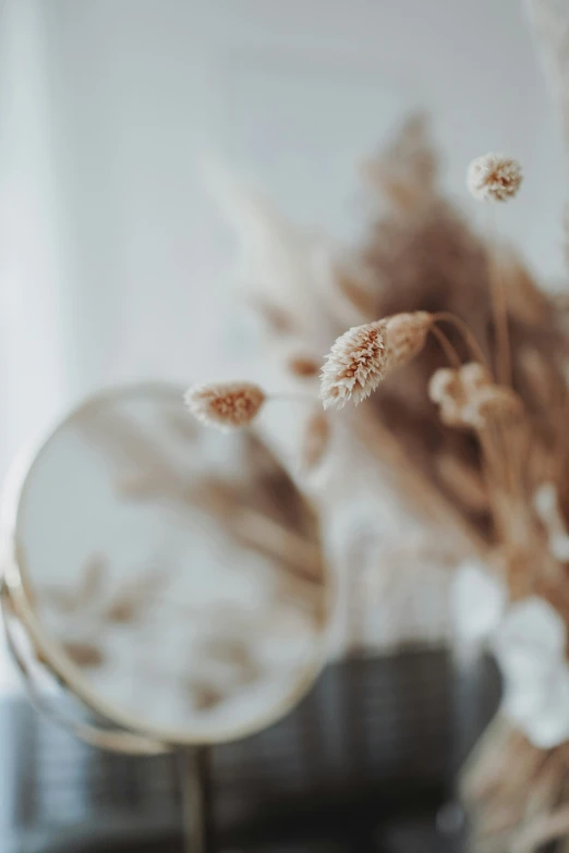 dried plants and mirrors in a vase