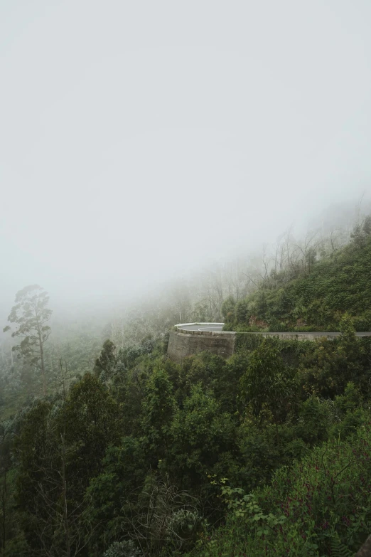 a road on the side of the mountain in the fog