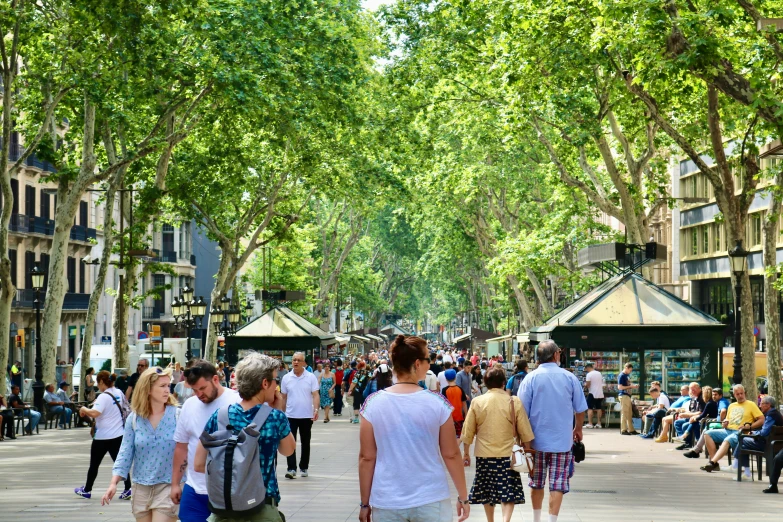 people walking down the sidewalk under many trees