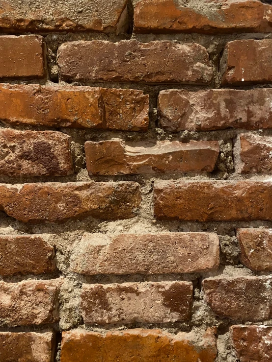 a bird is perched on the back of a brick wall