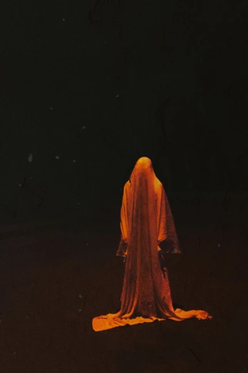 an image of a person covered in long veils