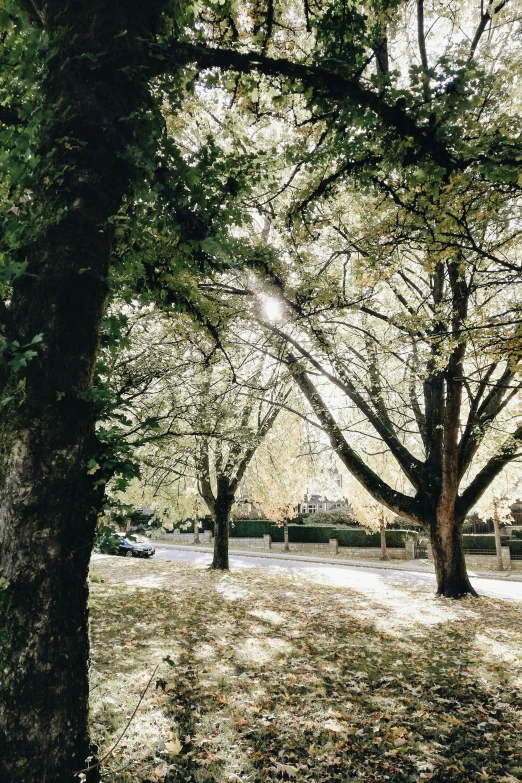 a bench under a canopy on a sunny day