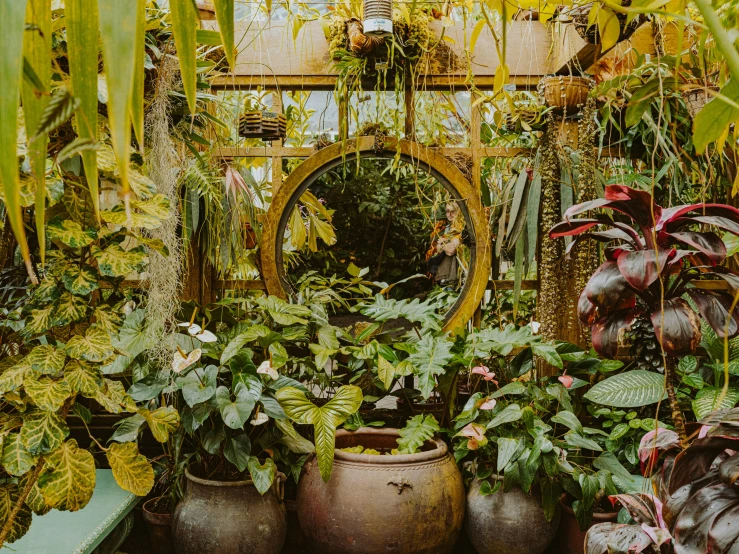 a room filled with green plants and potted plants