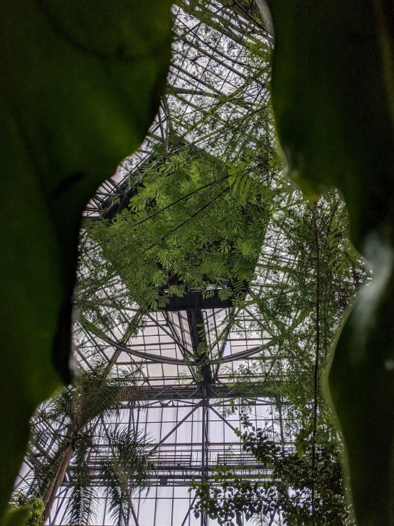 looking up into a very tall green tower with plants growing on the roof