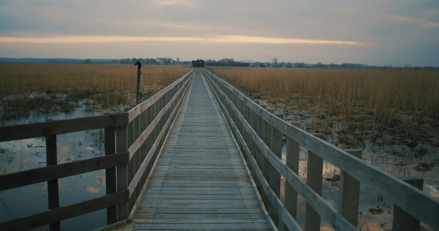 an empty path leading to the marsh at dusk