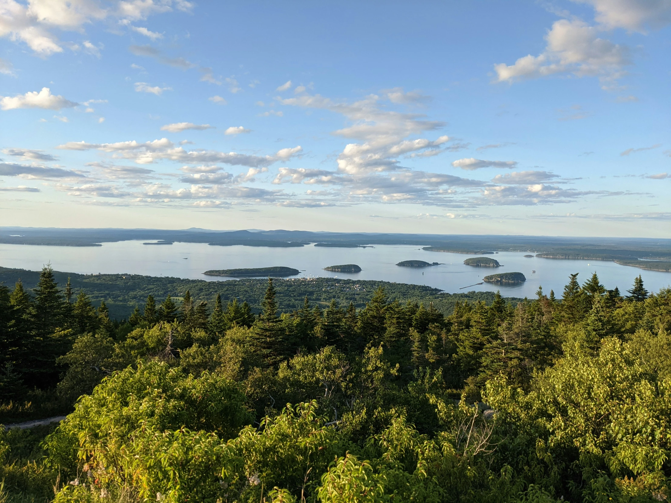 the landscape has many trees and a view of the lake