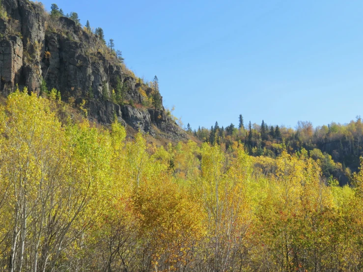 a beautiful mountain has yellow, green, and red leaves