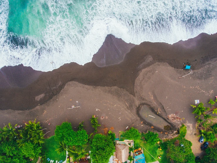 a beach is near an ocean and trees