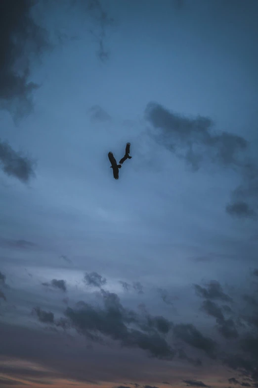 a vulture flying in the distance through a cloudy blue sky