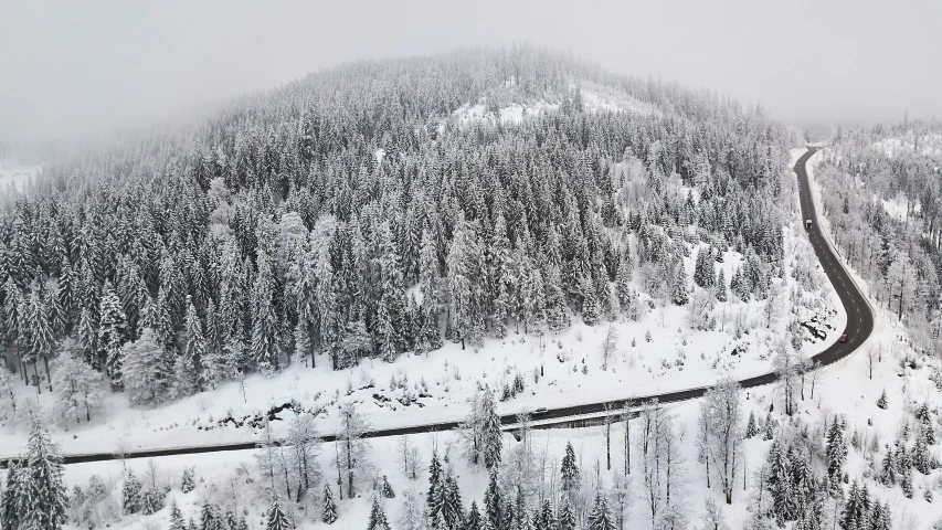 a snowy mountain side shows a curved road and a lot of trees