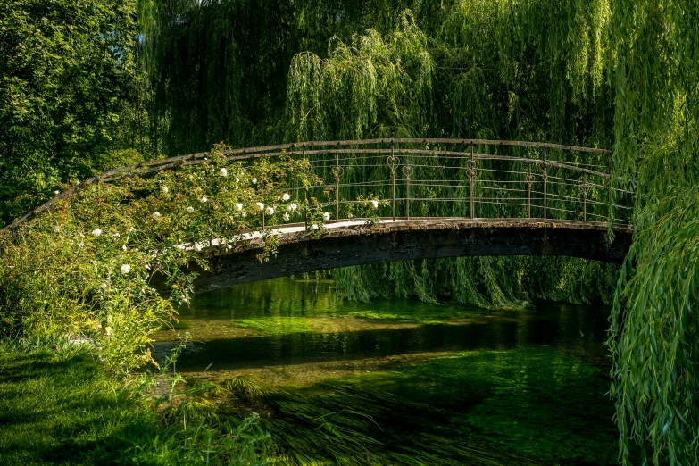 a bridge over a river surrounded by trees