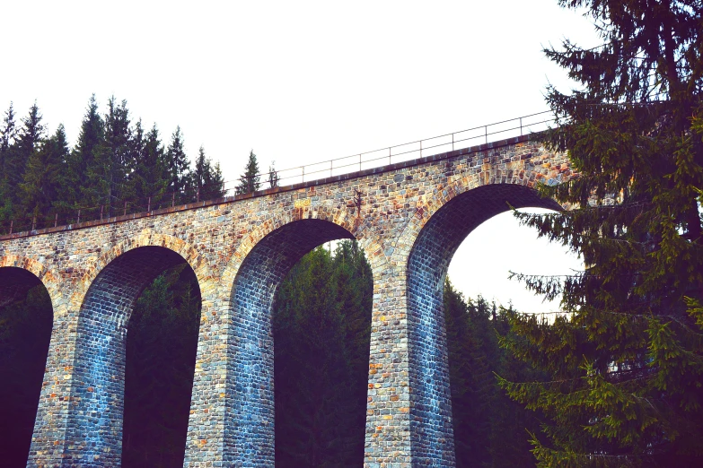 a stone bridge surrounded by tall trees