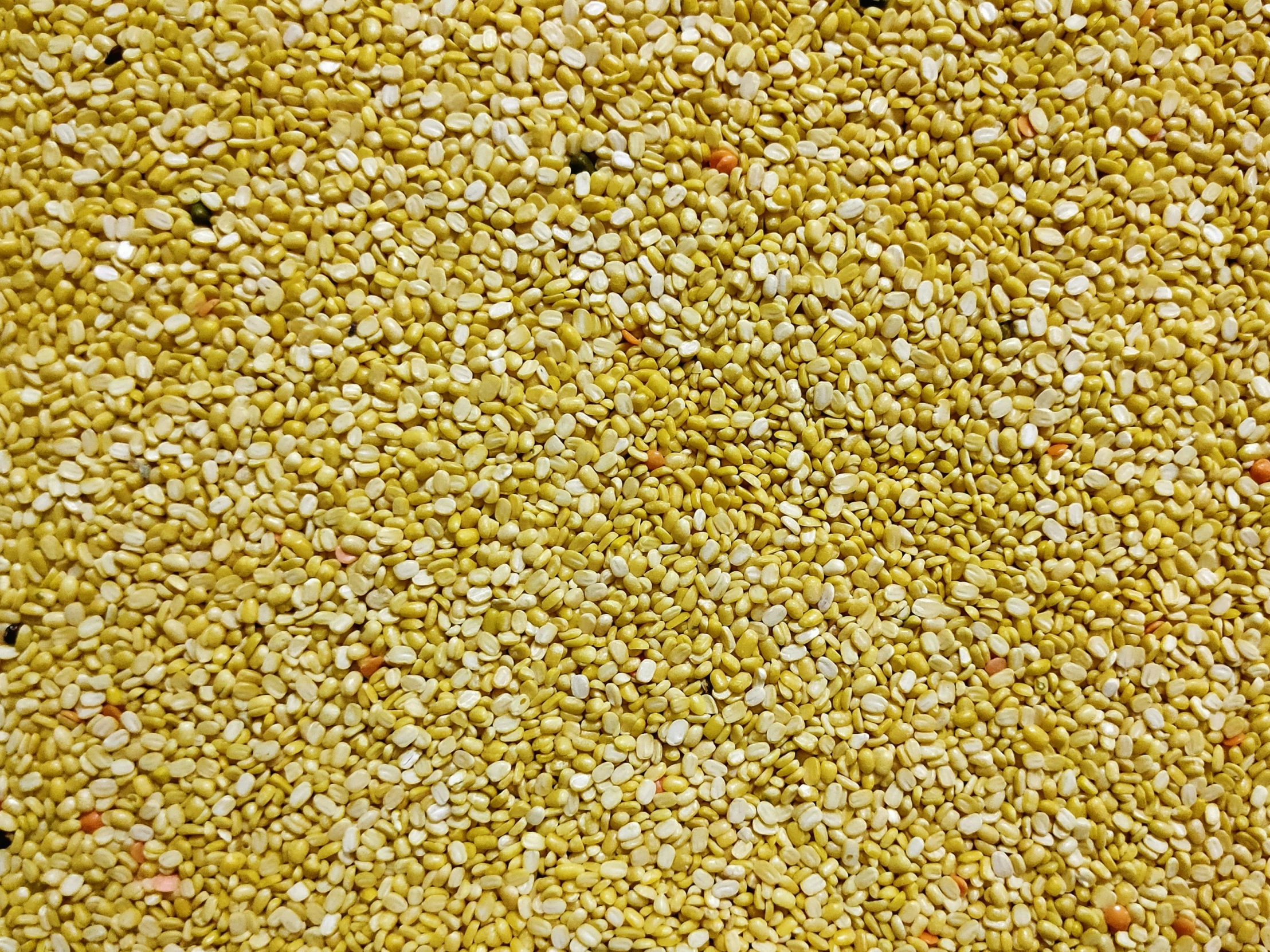 a close up of yellow sprinkled seeds