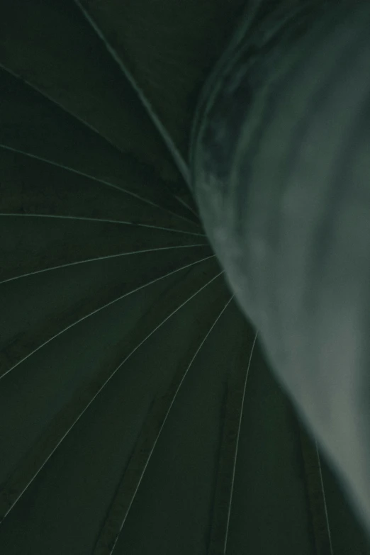 a person standing in a spiral shaped tunnel