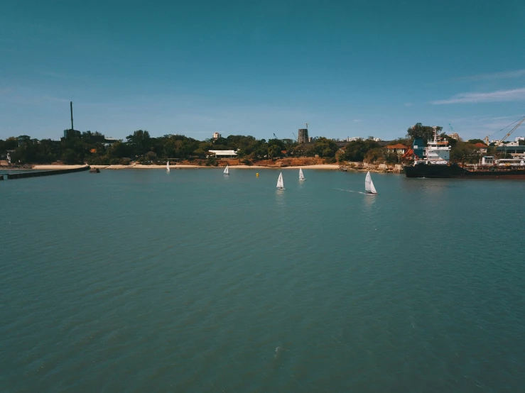 an ocean with white boats in it and a blue sky