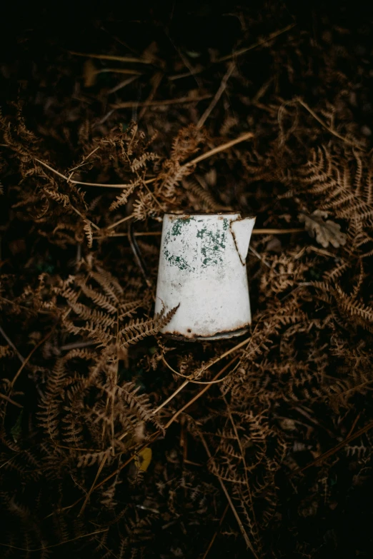 an old object is in a field of grass