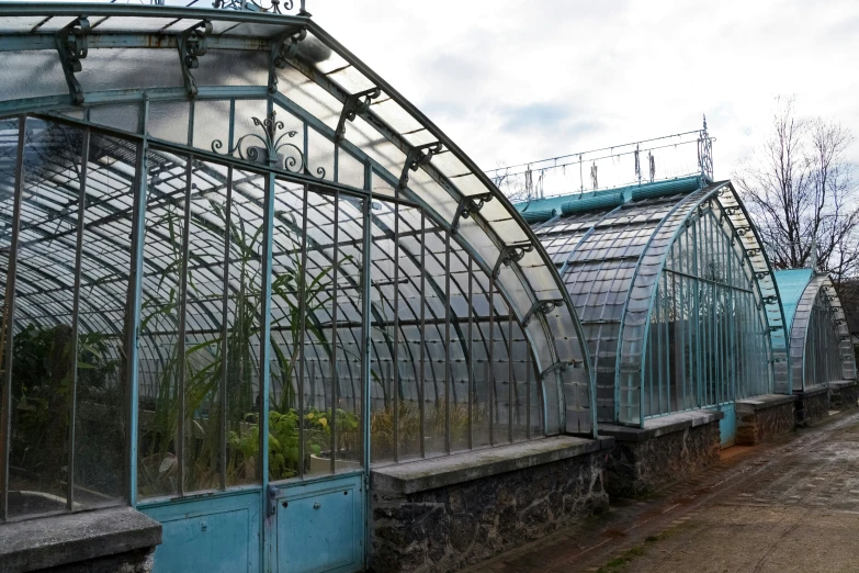 greenhouses lined up side by side in an alley