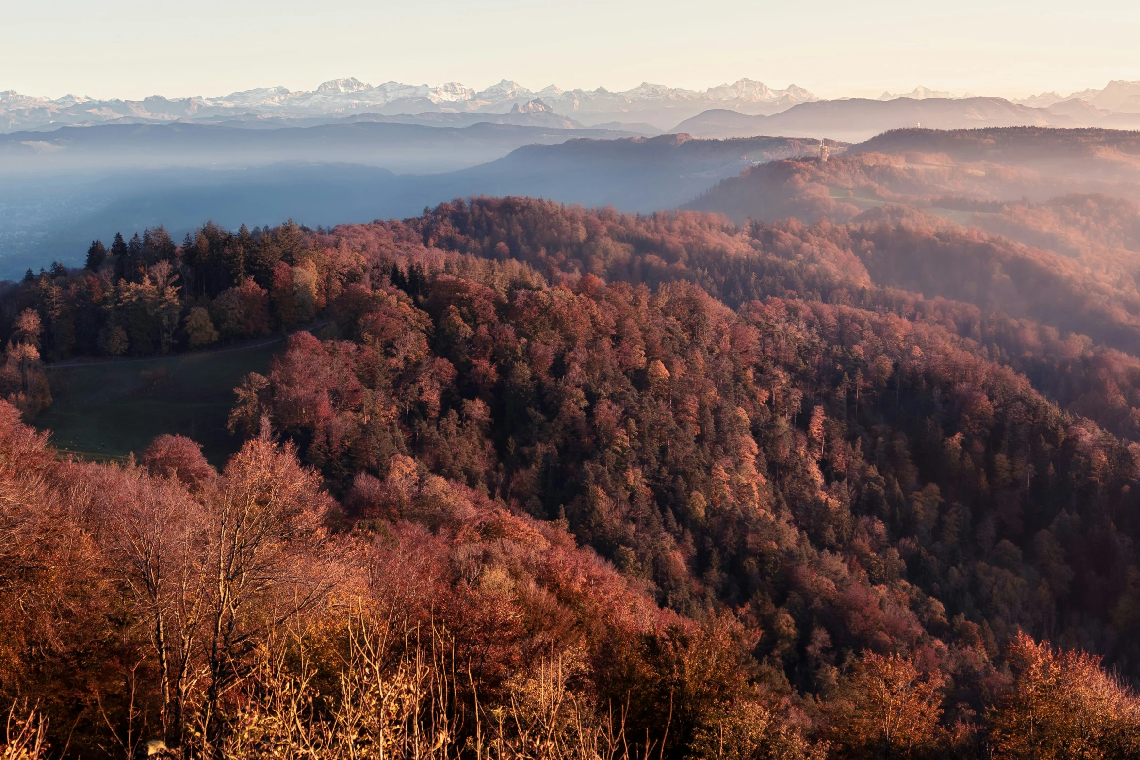 mountains with forests on either side of them